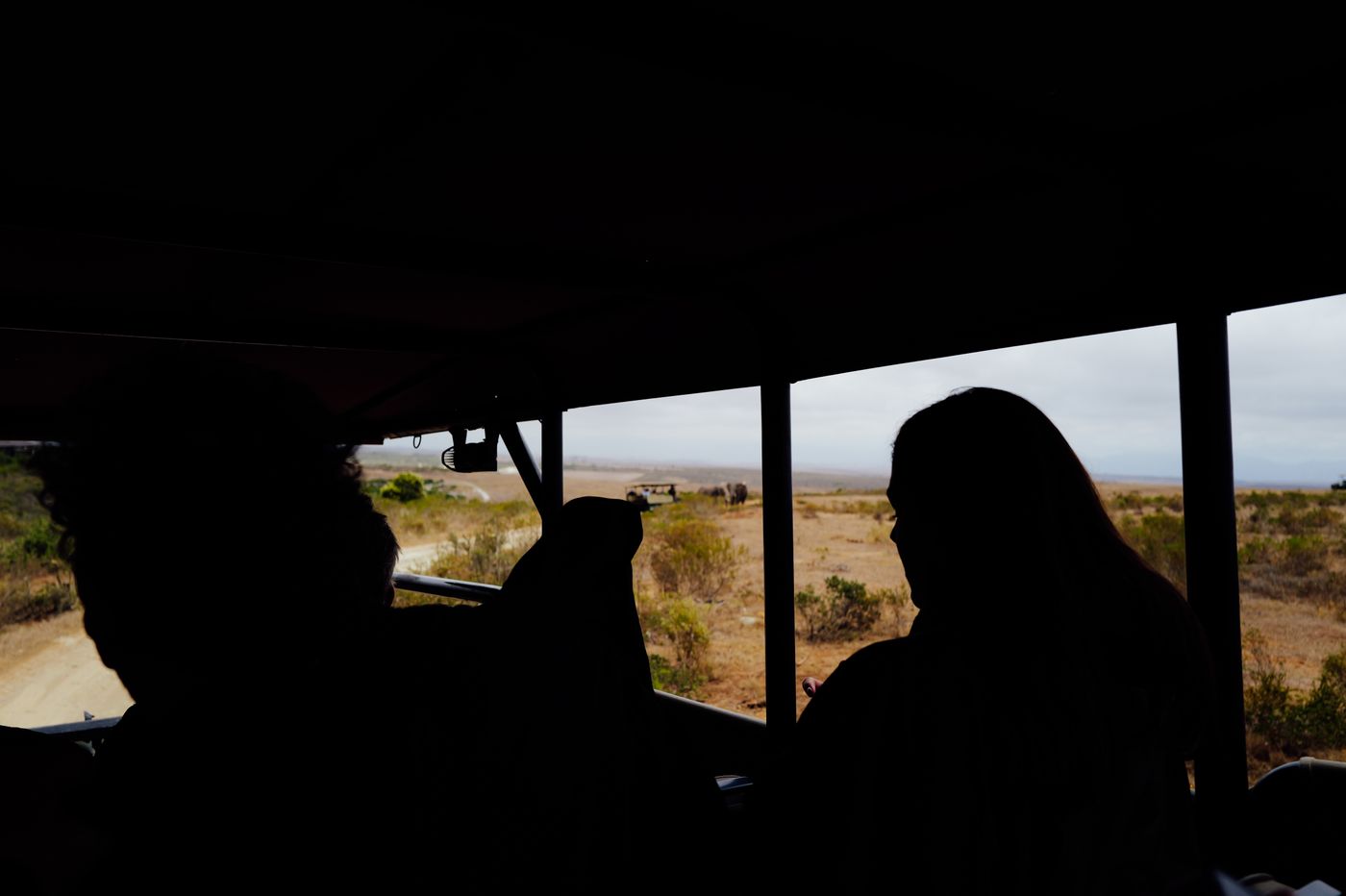 Tanzania safari packages with travelers in an open safari vehicle