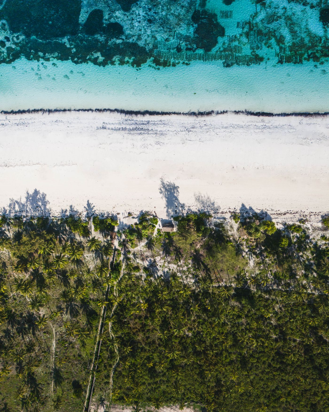 Aerial Zanzibar coastline with white sand and palms