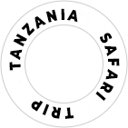 circle text tz