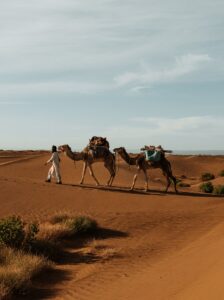 Morocco Sahara
