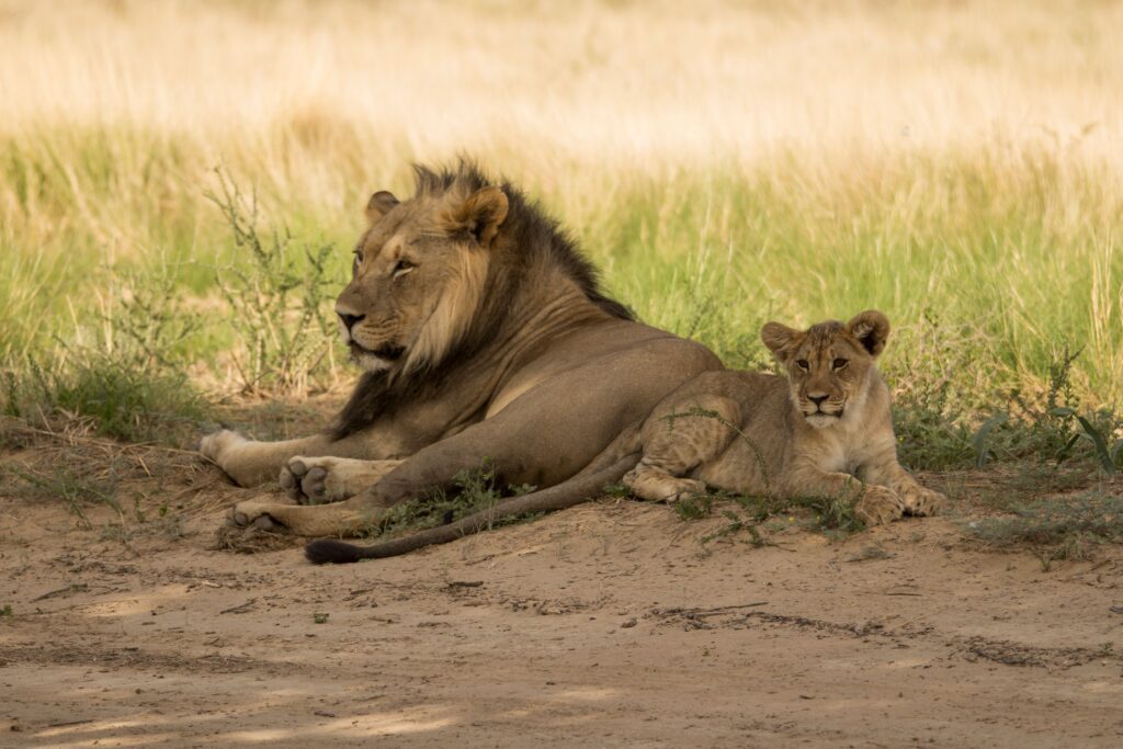 Kruger National Park