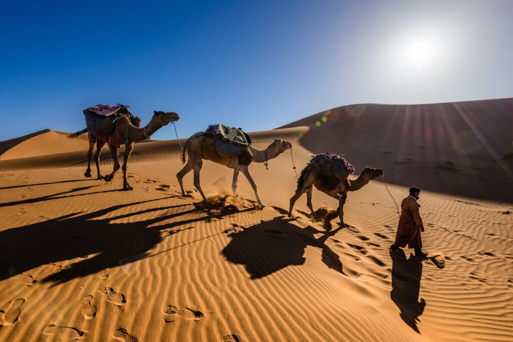 Morocco Sahara