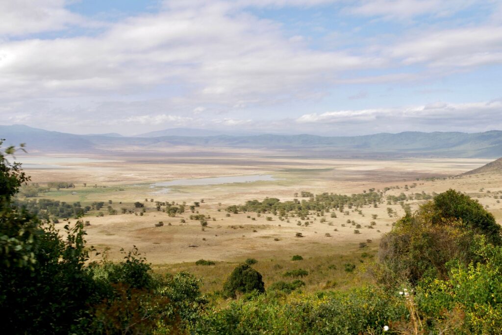 Panoramic view of Ngorongoro Crater savannah and crater walls, Tanzania