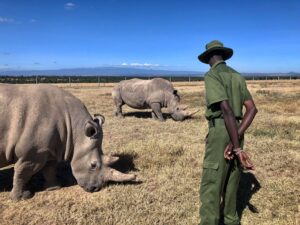 Ol Pejeta Conservancy