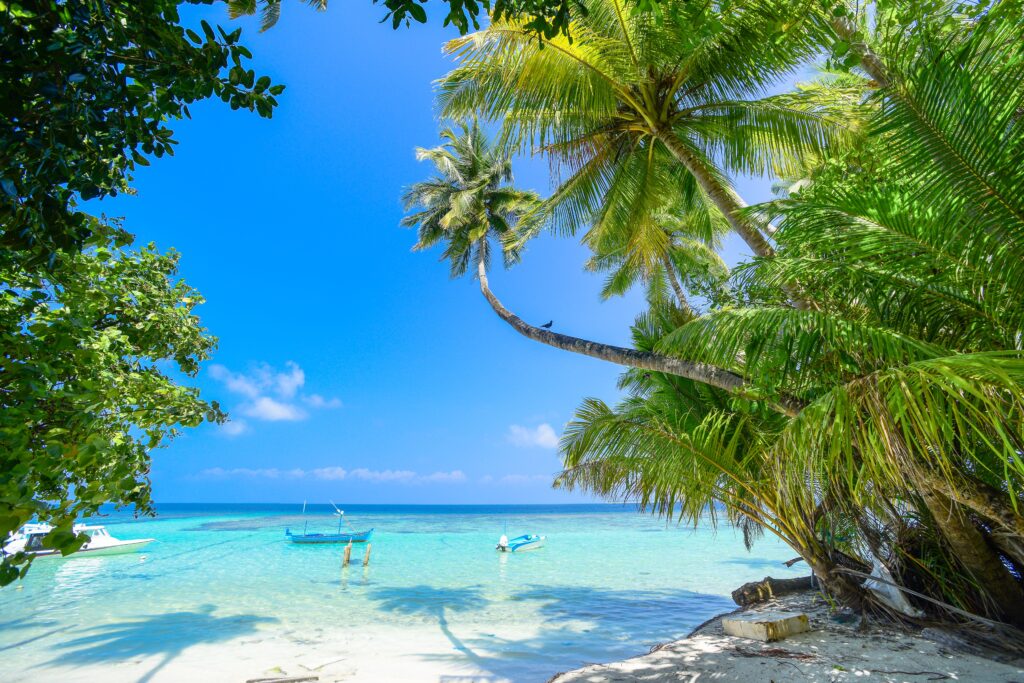 Tropical beach with turquoise water and palm trees