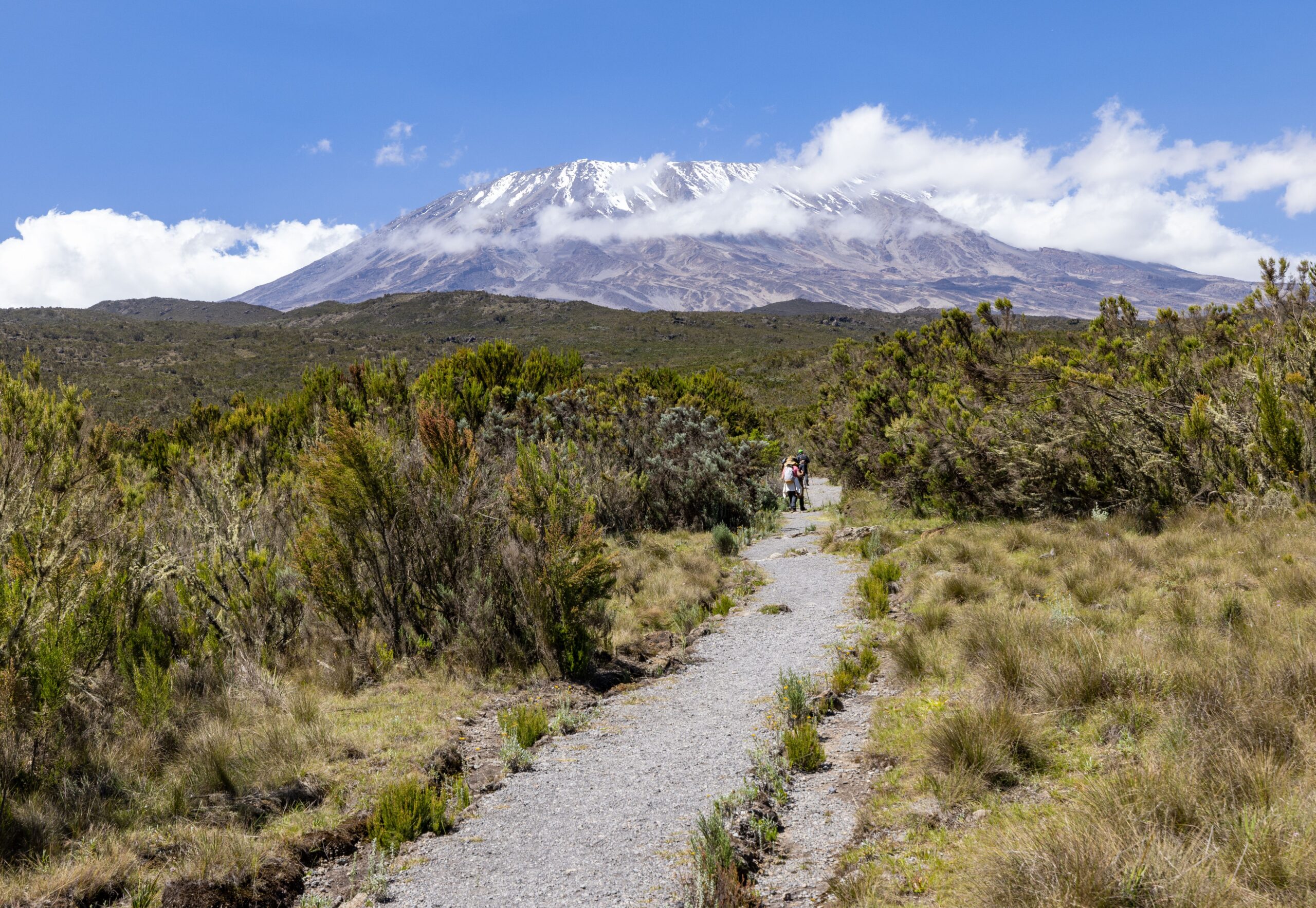 Kilimanjaro trek Tanzania Machame route