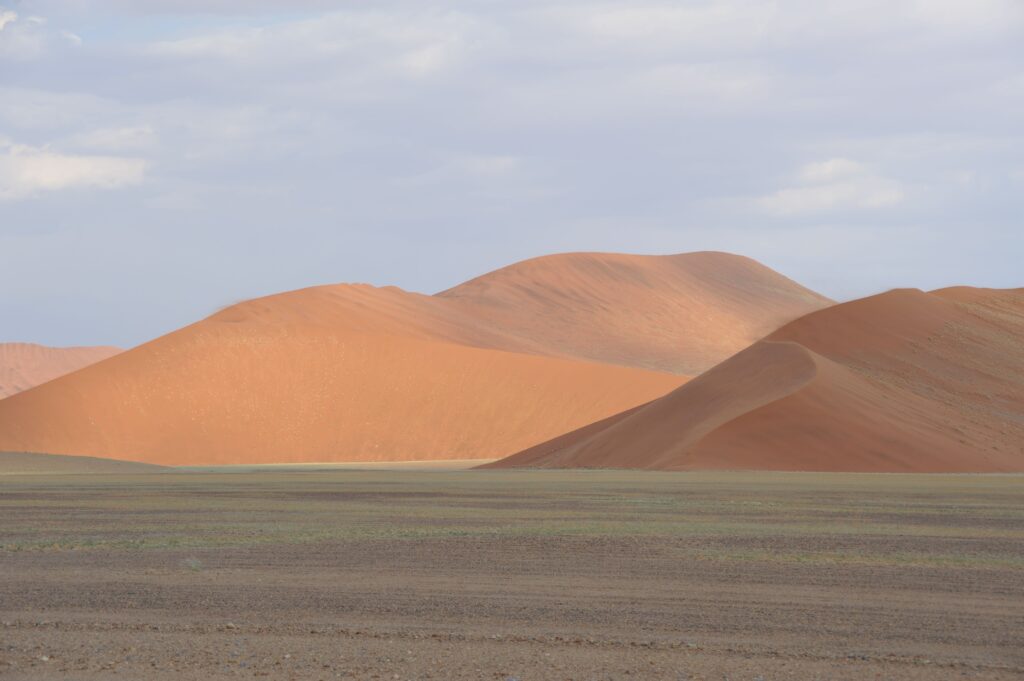 Orange sand dunes in Naukluft Namibia