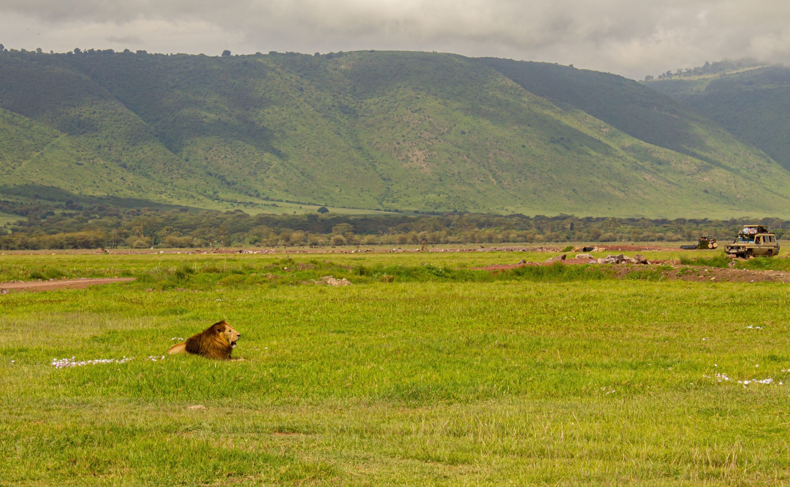 Ngorongoro Crater landscape and wildlife, Tanzania