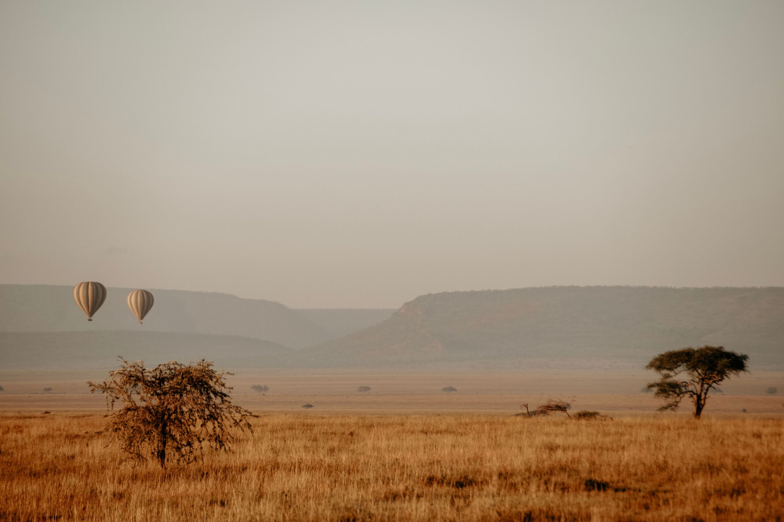 About 3 Best Time to Visit (Serengeti Sunrise Balloons)