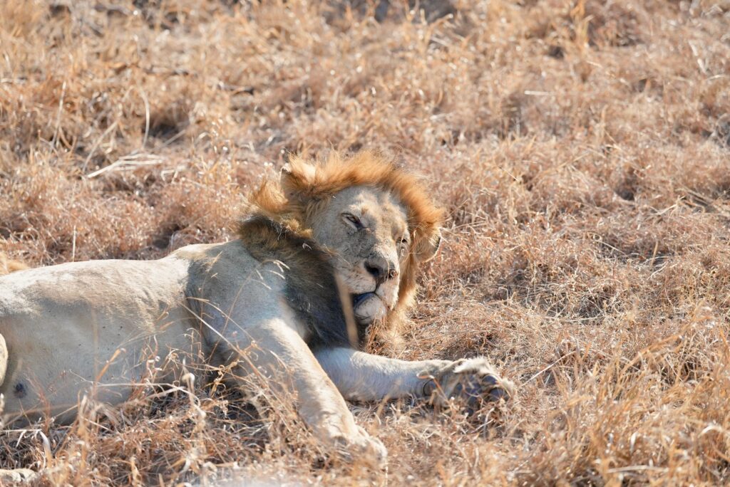 Kruger National Park