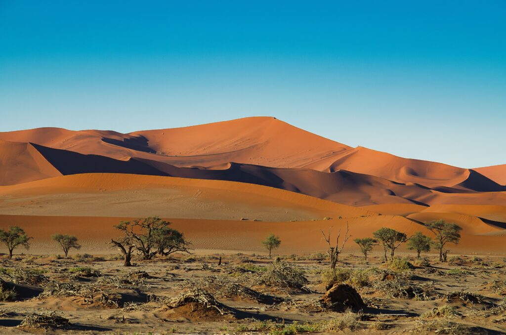 Sossusvlei desert landscape with red dunes