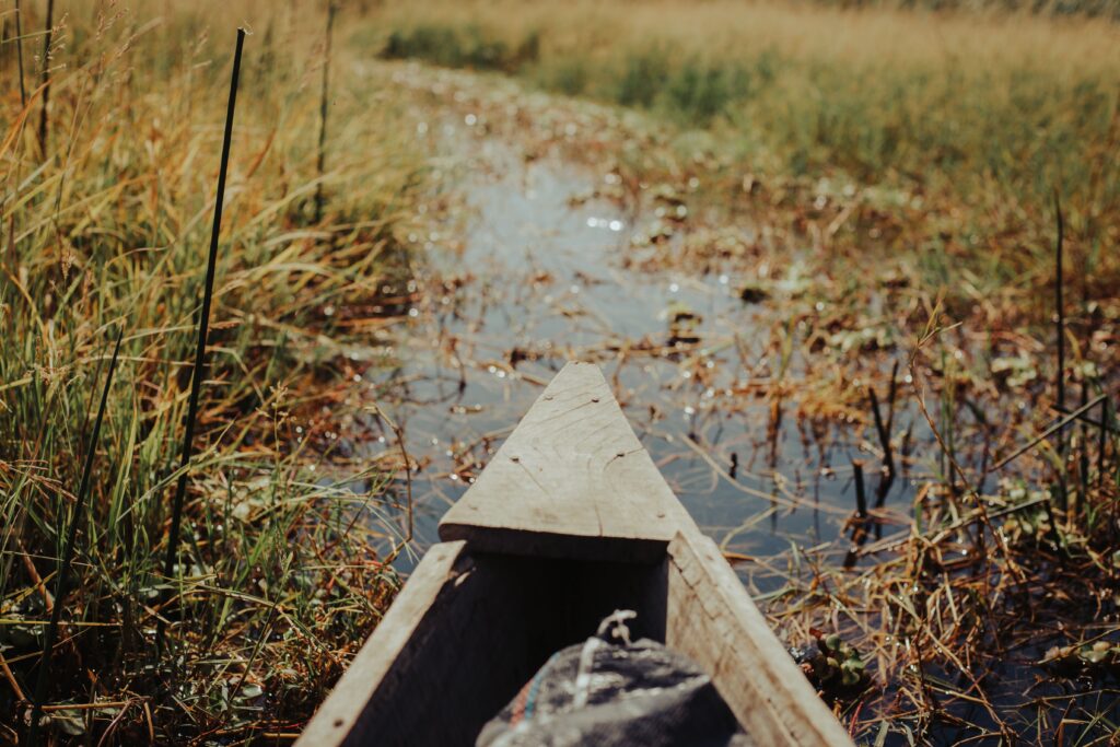 Okavango Delta