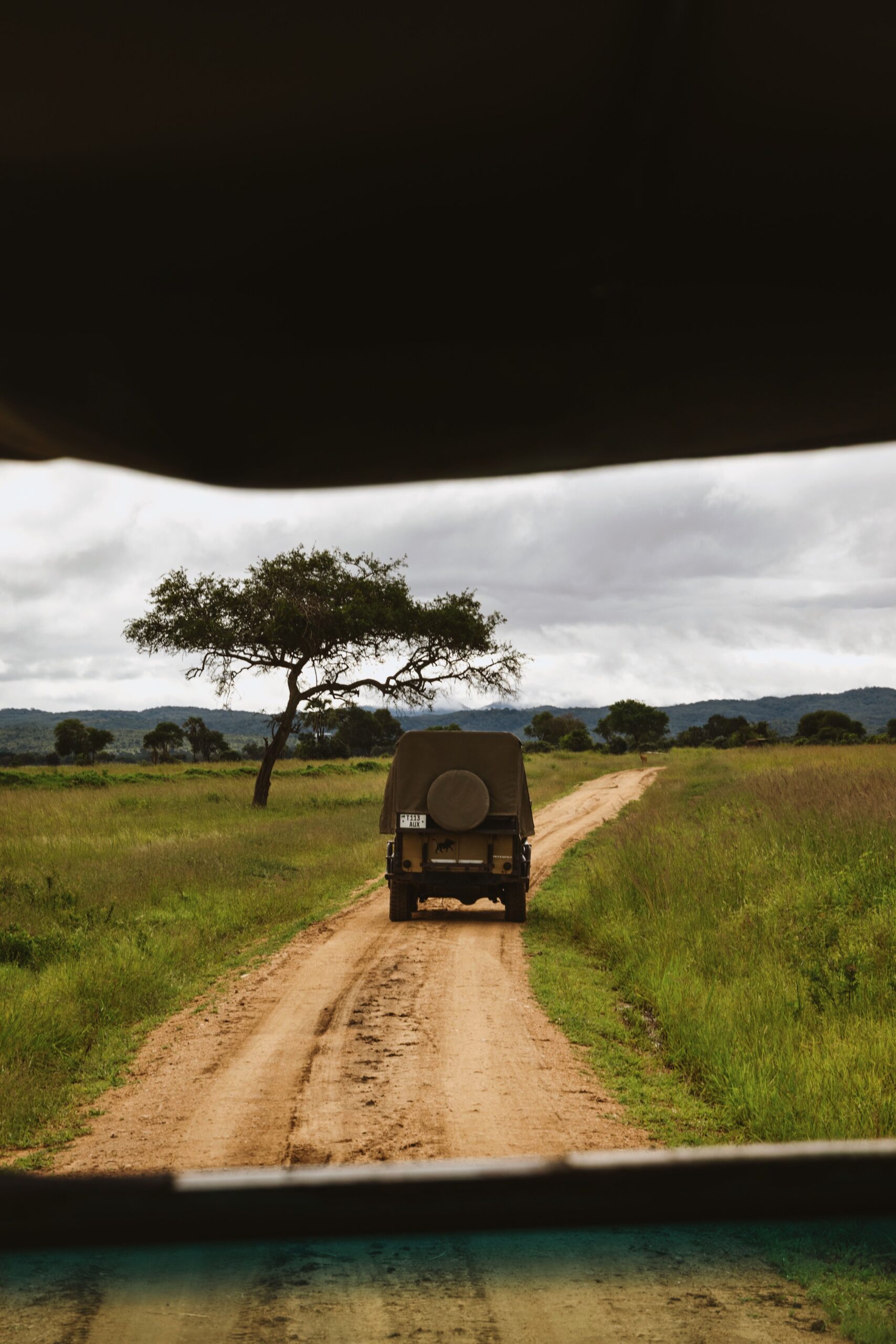 Senior Safaris (Tanzania Safari Jeep)