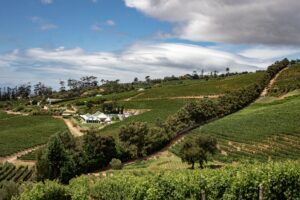 Cape Winelands