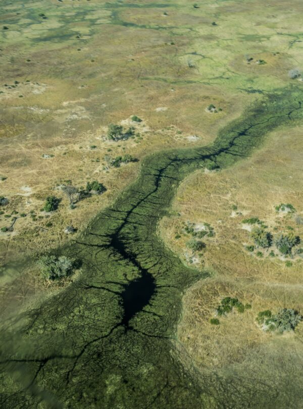 Aerial view of winding water channels through African grassland wetlands