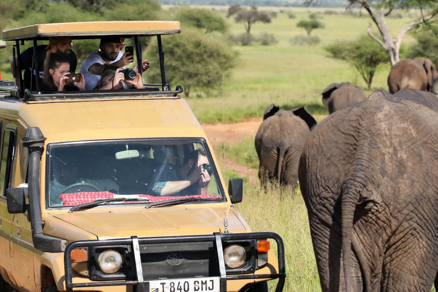 Tourists in a guided safari vehicle watching elephants