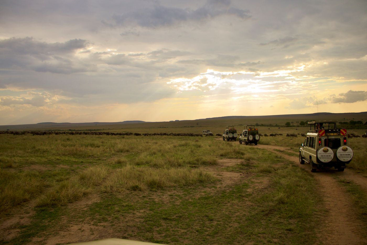 Land Cruiser vs Pop-top: Which Tanzania Safari Vehicle Should You Book? 2 Safari 4x4 vehicles on African savannah tracks at sunset
