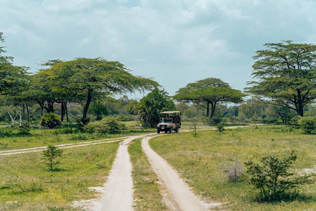 Safari vehicle driving through lush African landscape with acacia trees on unpaved road