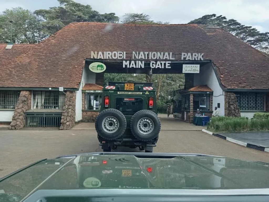 JKIA to Masai Mara Transfer 1 JKIA to Masai Mara staging through Nairobi