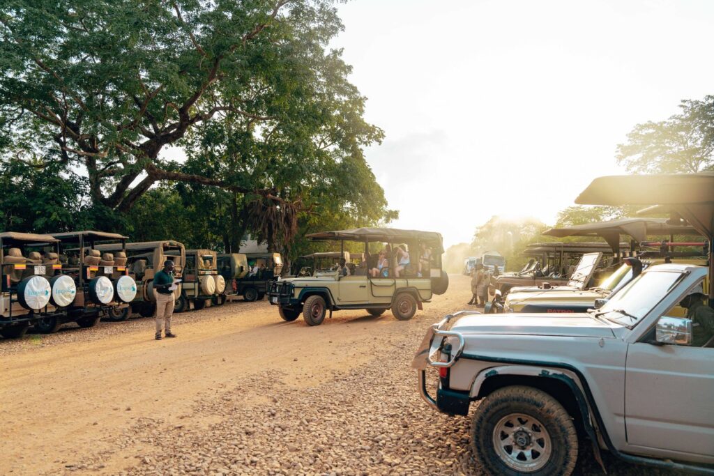 East Africa Self-Drive: Tanzania vs Kenya vs Uganda Routes (2026) 4 Safari 4x4 vehicles parked beside a sunlit dirt road with trees around