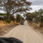 Safari jeeps driving a dusty dirt road through open savanna in East Africa