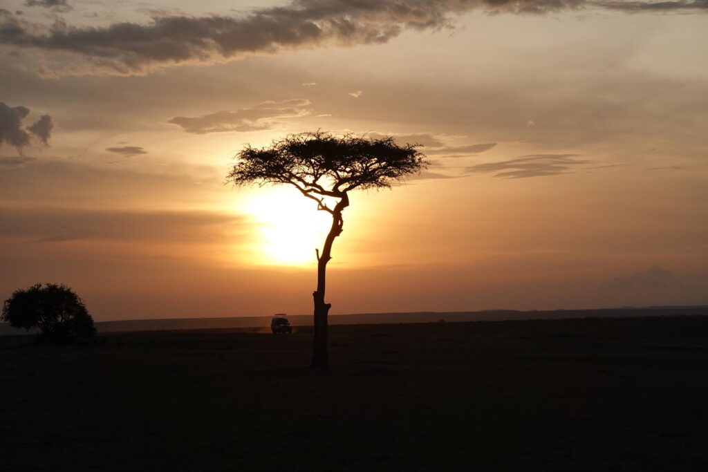 Self-Drive Kenya Safari: What to Know Before You Go (2026) 4 Sunset over the Kenyan savanna with an acacia tree silhouette