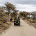 A safari jeep driving a dusty dirt road through open savanna in Tanzania