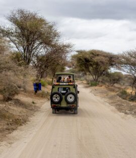 A safari jeep driving a dusty dirt road through open savanna in Tanzania