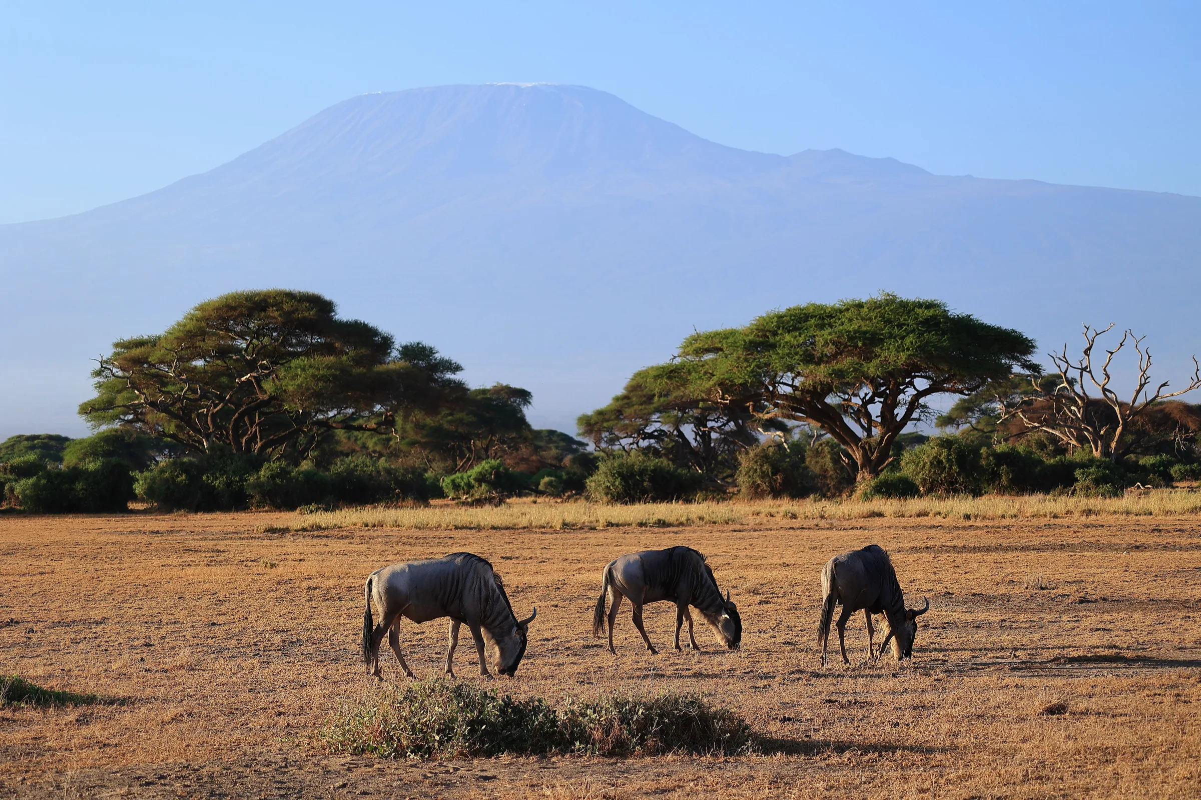 East Africa airport guide